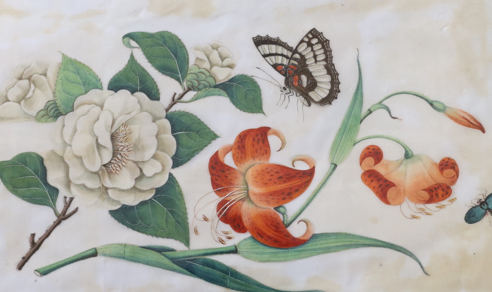 A pair of Chinese pith paper paintings, still life’s of flowers and butterflies, 16 x 26cm